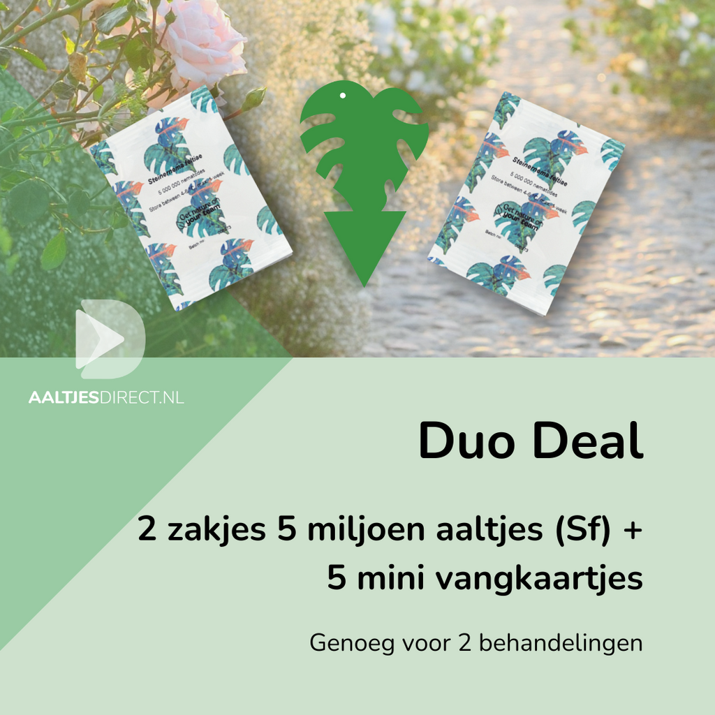 Duo-deal: 2 x 5 mln Sf aaltjes + 5 vangkaartjes tegen rouwvliegjes