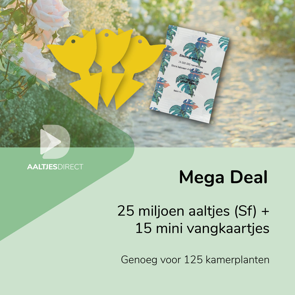 Mega Deal: 25 mln Sf aaltjes + 15 vangkaartjes tegen rouwvliegjes