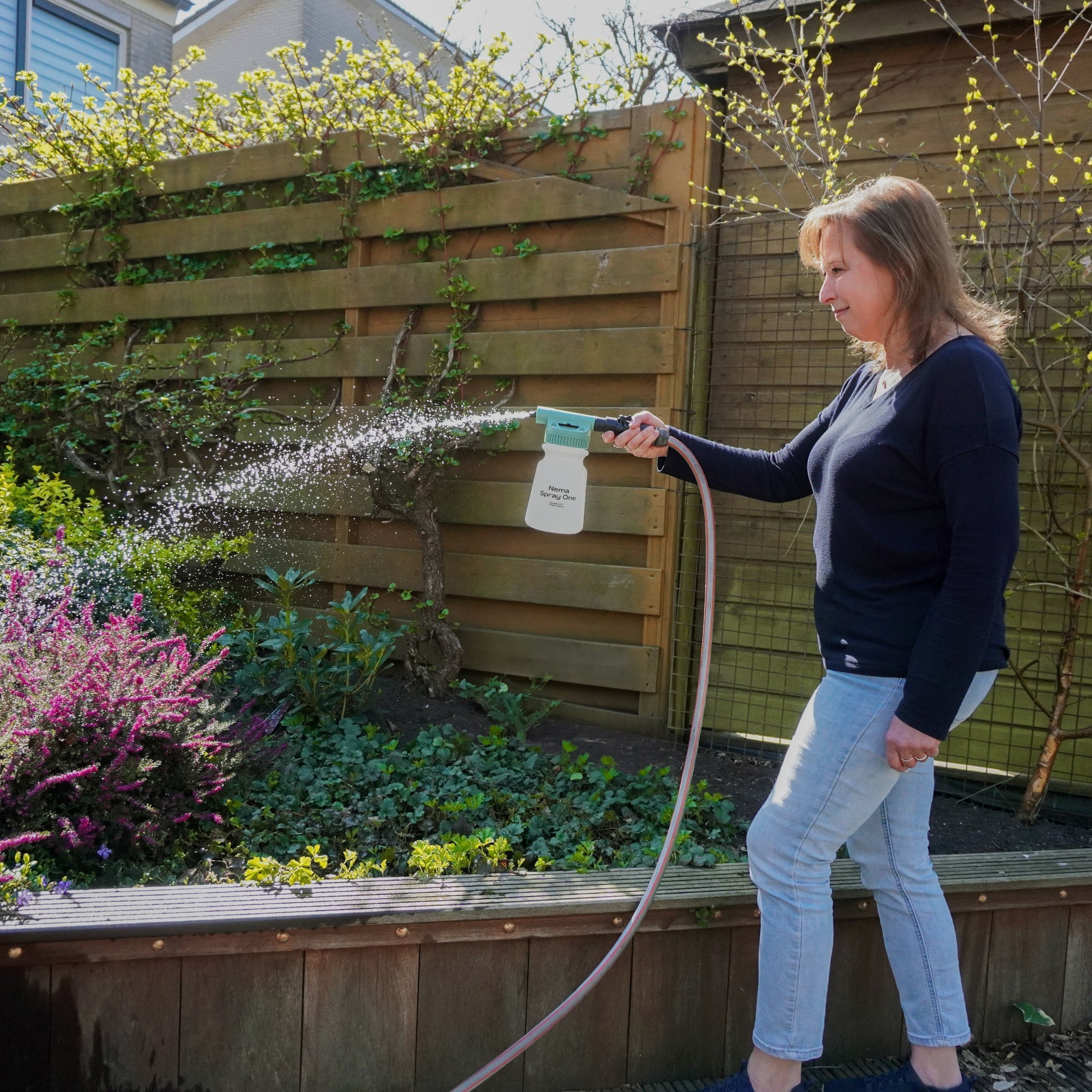 Stappenplan tot het succesvol uitzetten van aaltjes