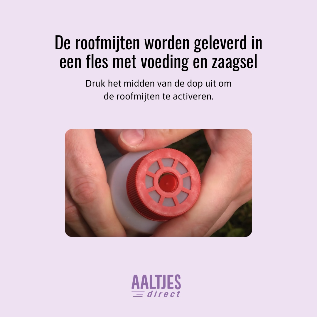 Diagram Androlis instructies voor gebruik