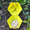 Limax Trap - slakkenval