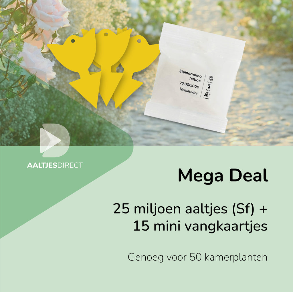 Mega Deal: 25 mln Sf aaltjes + 15 vangkaartjes tegen rouwvliegjes