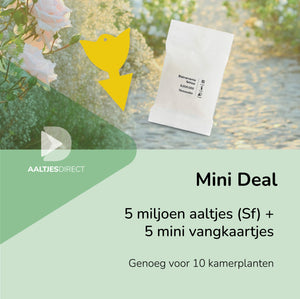 Mini-deal: 5 mln Sf aaltjes + 5 vangkaartjes tegen rouwvliegjes