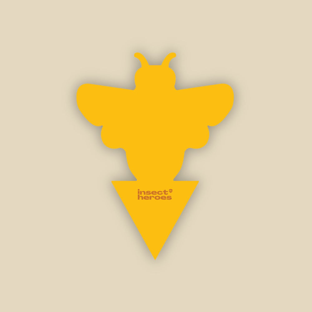 Vangplaten tegen rouwvliegjes