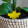 Sticky Leaf Bee met rouwvliegjes in plantenpot