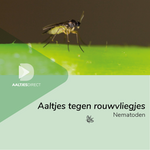 Aaltjes tegen rouwvliegjes (Steinernema feltiae)